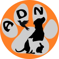 ADN Logo Orange